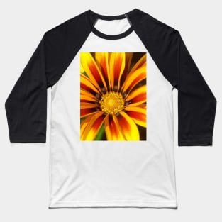 Gazania Baseball T-Shirt